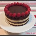 Tarta  mousse de turrón y chocolate