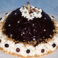 VOLCAN DE TIRAMISU
