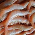 GAMBA BLANCA DE HUELVA A LA PLANCHA