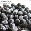 Cómo quitar manchas de arándanos