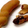 Galletas de tamarindo