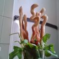 Grisines al oliva