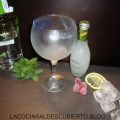 EL GIN TONIC CASI PERFECTO