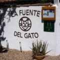 Un día en el paraíso
