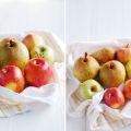 Compota de manzana