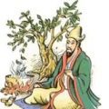 LOS REMEDIOS DE REMEDIOS : EL TÉ