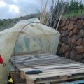 De la huerta a la mesa: gratén de colinabo