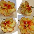 Flor de Hibisco