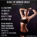 Proyecto Fit 2014: Circuito para Quemar Grasas