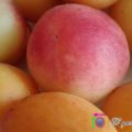 MERMELADA DE ALBARICOQUES