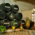 Bodegas Delgado, a punto de cumplir 140 años[...]