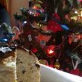 Panettone