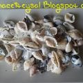 Caracola de Pasta con Boletus y Nata