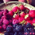 ♡ Néctar del Bosque ♡