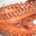 Pulpo a la guindilla