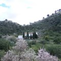 VIAJES: Un sábado en Xàtiva