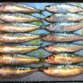 Sardinas a la brasa, sin brasas