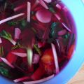 Fermentación silvestre: cómo hacer kimchi