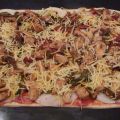 PIZZA MEXICANA (TRADICIONAL Y TMX)