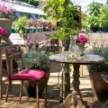 Vamos a Petersham Nurceries en Richmond -[...]