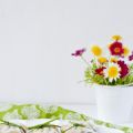 RECETA: Paquetitos con langostinos y verduritas