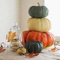 Calabazas hasta en la sopa