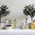 Jeanne en Provence Divine Olive: Hidrata y[...]