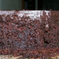 Semana de celebraciones III = Pastel de[...]