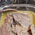 

LENGUA GUISADA 


