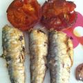 SARDINAS DE LA COSTA