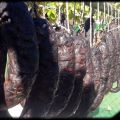 Morcilla de cebolla