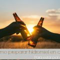 Cómo hacer Hidromiel en casa