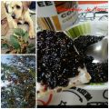 Mermelada de Moras
