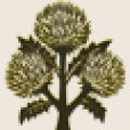 ACEITES DAURO/AUBOCASSA