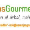 NARANJAS GOURMET DE ORIHUELA
