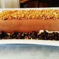Helado de corte de chocolate y vainilla