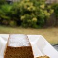 Bizcocho de 2 ingredientes - Bizcocho de helado