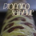 Pionono salvaje relleno de chocolate