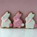 Galletas para mi 