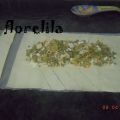 EL COCODRILO SE METIO EN LA CUEVA