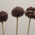 Cakes pops