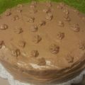 Tarta de chocolate con nutella