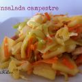 Ensalada campestre o ensalada de repollo