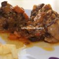RABO DE TORO