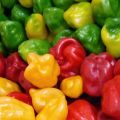 La madre que parió a la capsaicina