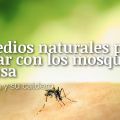 Remedios Naturales para Acabar con los[...]