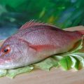 Ceviche de mojarra