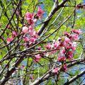 YA ES PRIMAVERA