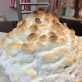 Baked Alaska