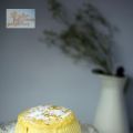 PASTEL JAPONÉS DE QUESO EL TOP 10 DE LAS REDES